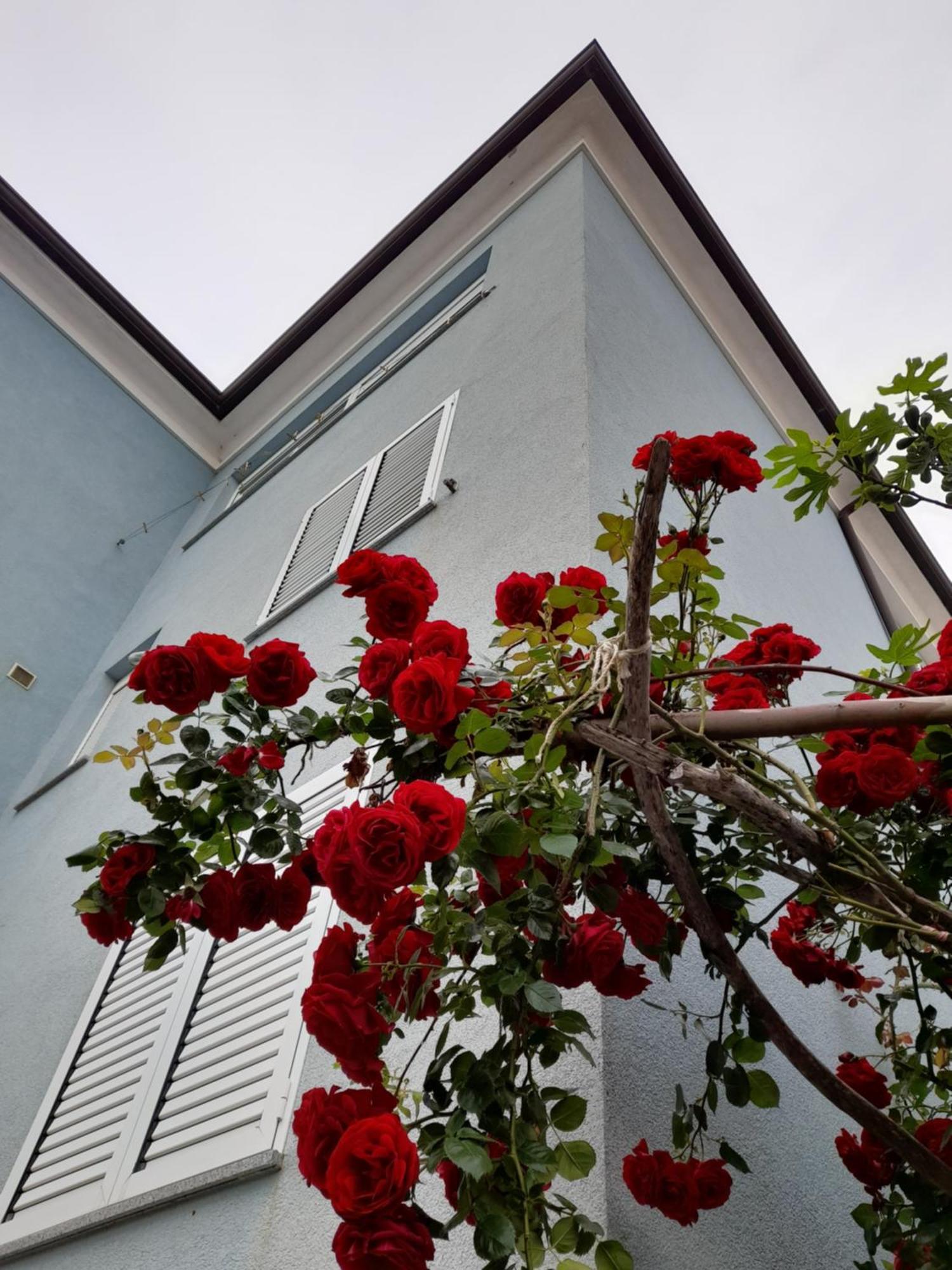 Lea Apartment Rovinj Exterior photo